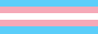 Trans pride flag